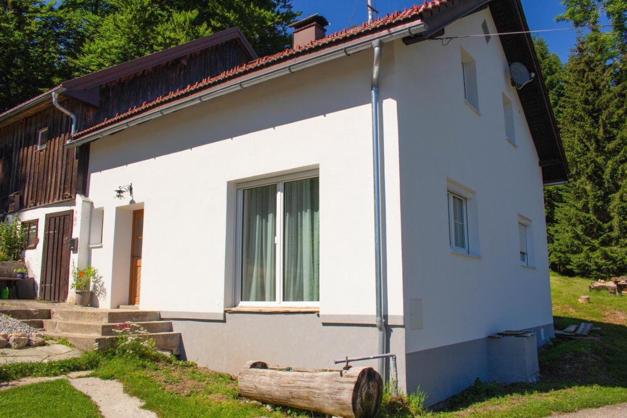 Ferienhaus Ploeckenstein Schwarzenberg am Bohmerwald Kültér fotó