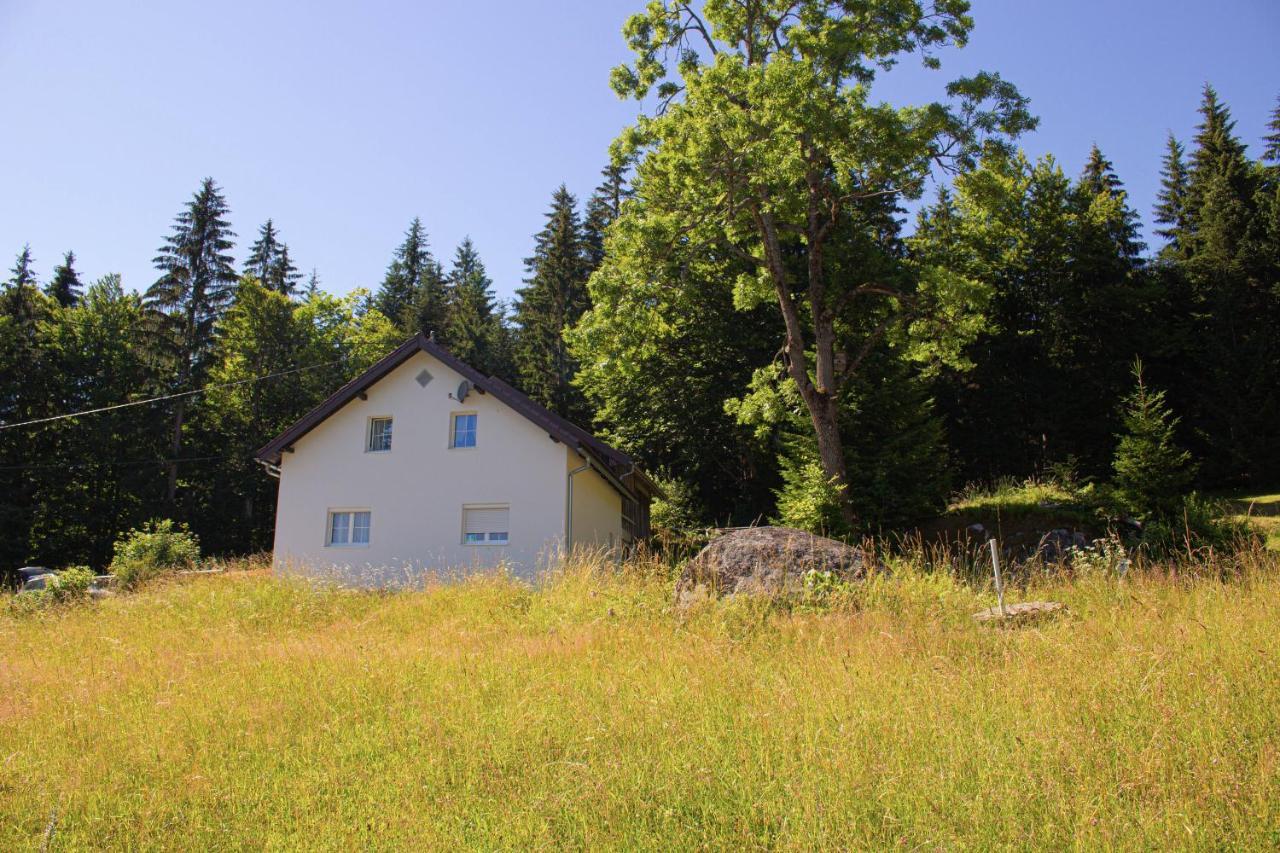 Ferienhaus Ploeckenstein Schwarzenberg am Bohmerwald Kültér fotó