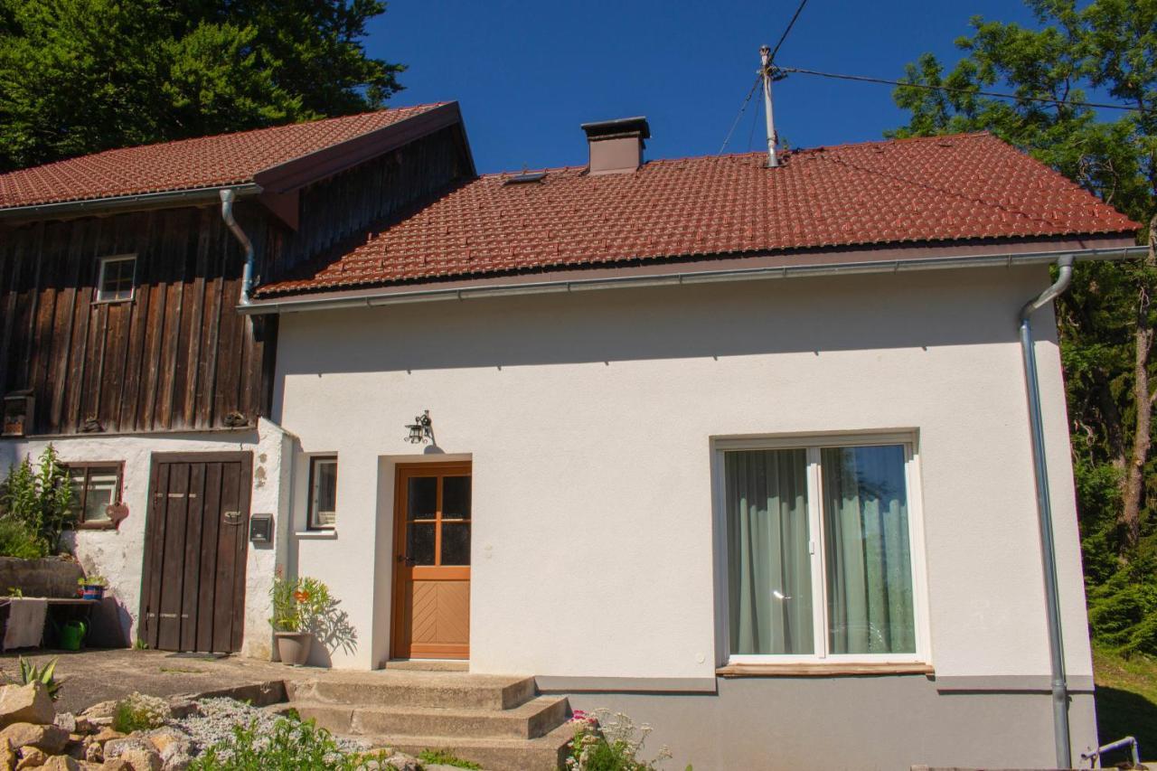 Ferienhaus Ploeckenstein Schwarzenberg am Bohmerwald Kültér fotó