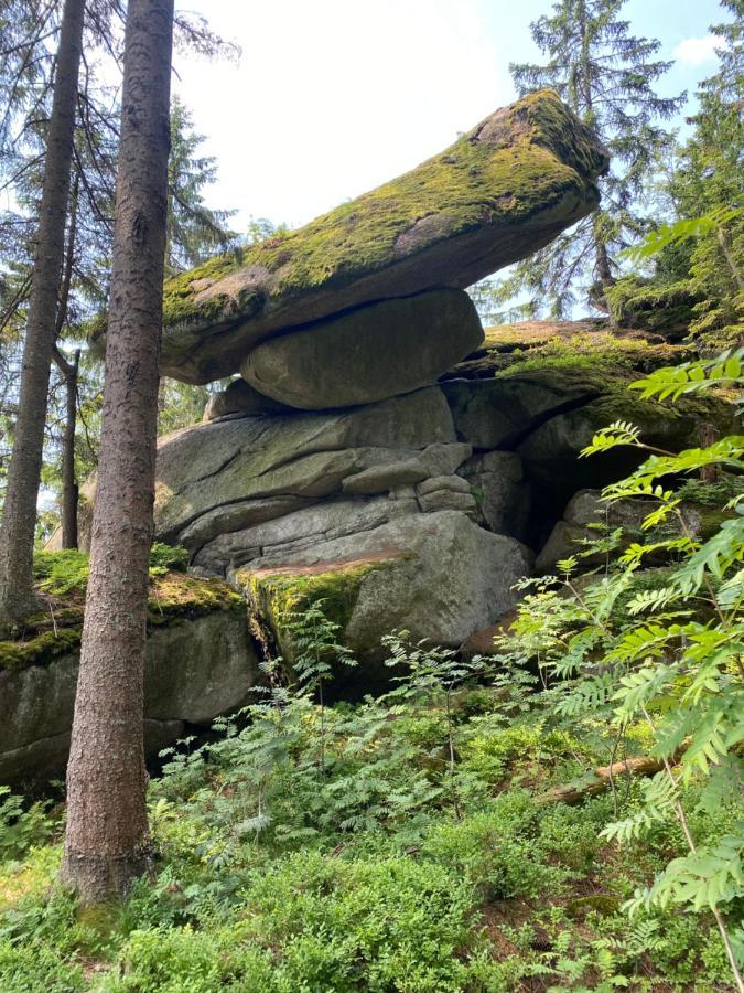 Ferienhaus Ploeckenstein Schwarzenberg am Bohmerwald Kültér fotó